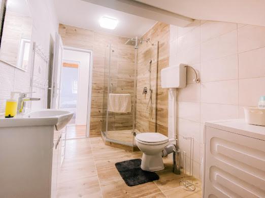 Apartman Aleksandar Lux Palić エクステリア 写真
