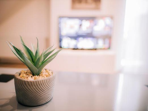 Apartman Aleksandar Lux Palić エクステリア 写真