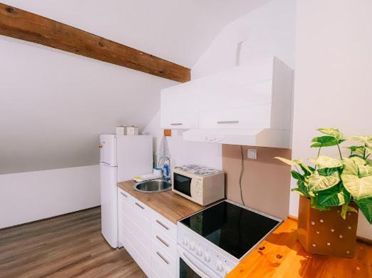 Apartman Aleksandar Lux Palić エクステリア 写真