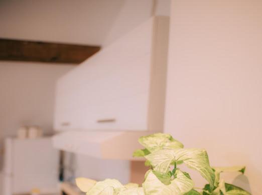 Apartman Aleksandar Lux Palić エクステリア 写真